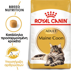 ROYAL CANIN MAINECOON