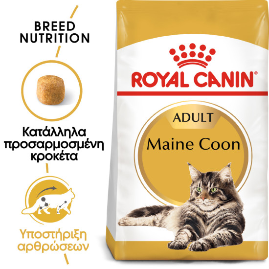 ROYAL CANIN MAINECOON
