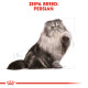 ROYAL CANIN PERSIAN ROYAL CANIN PERSIAN