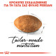 ROYAL CANIN PERSIAN ROYAL CANIN PERSIAN