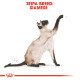 ROYAL CANIN SIAMESE ROYAL CANIN SIAMESE