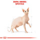 ROYAL CANIN SPHYNX ROYAL CANIN SPHYNX