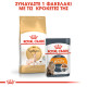 ROYAL CANIN SPHYNX ROYAL CANIN SPHYNX