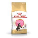 ROYAL CANIN KITTEN MAINECOON