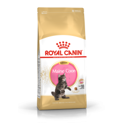 ROYAL CANIN KITTEN MAINECOON