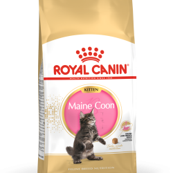 ROYAL CANIN KITTEN MAINECOON