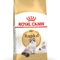 ROYAL CANIN RAGDOLL
