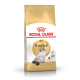 ROYAL CANIN RAGDOLL