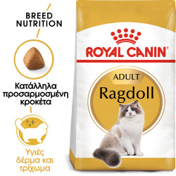 ROYAL CANIN RAGDOLL