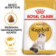 ROYAL CANIN RAGDOLL