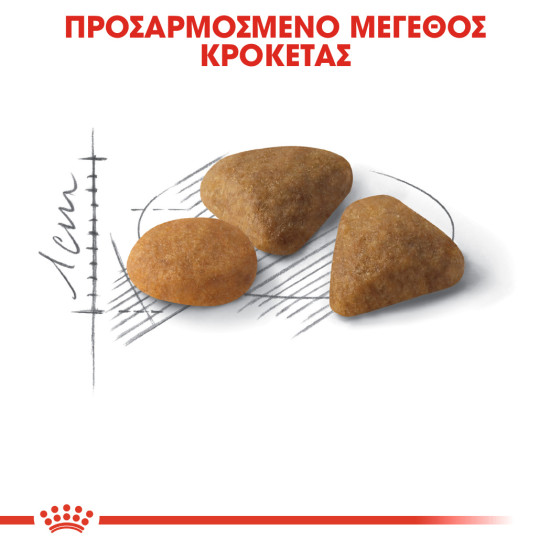 ROYAL CANIN EXIGENT SAVOUR ROYAL CANIN EXIGENT SAVOUR