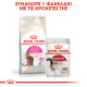 ROYAL CANIN EXIGENT SAVOUR ROYAL CANIN EXIGENT SAVOUR