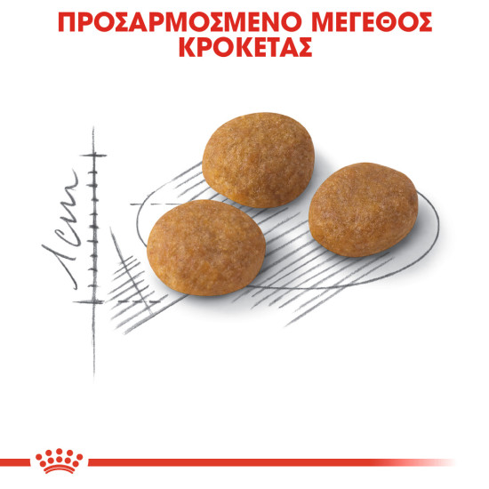 ROYAL CANIN EXIGENT33 AROMATIC ROYAL CANIN EXIGENT33 AROMATIC