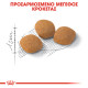 ROYAL CANIN EXIGENT42 PROTEIN ROYAL CANIN EXIGENT42 PROTEIN