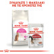 ROYAL CANIN EXIGENT42 PROTEIN ROYAL CANIN EXIGENT42 PROTEIN