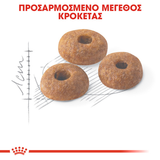ROYAL CANIN FIT32 ROYAL CANIN FIT32