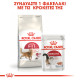 ROYAL CANIN FIT32 ROYAL CANIN FIT32