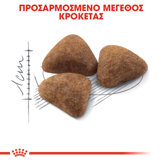 ROYAL CANIN INDOOR27 ROYAL CANIN INDOOR27