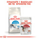 ROYAL CANIN INDOOR27 ROYAL CANIN INDOOR27