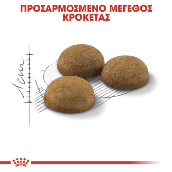 ROYAL CANIN INDOOR LONGHAIR ROYAL CANIN INDOOR LONGHAIR