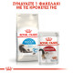 ROYAL CANIN INDOOR LONGHAIR ROYAL CANIN INDOOR LONGHAIR