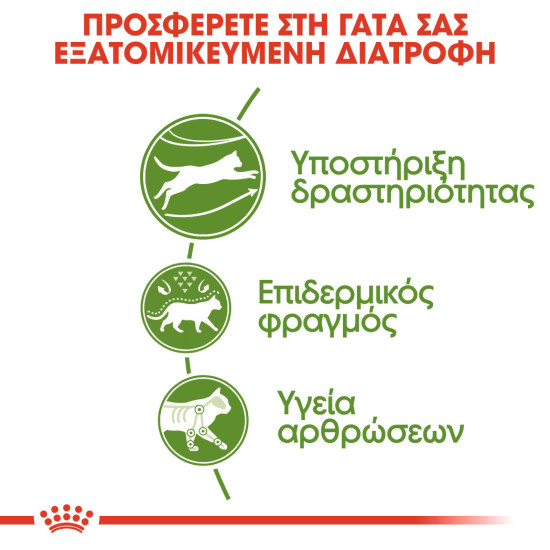 ROYAL CANIN OUTDOOR30 ROYAL CANIN OUTDOOR30