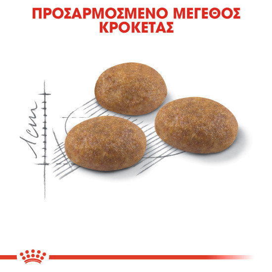 ROYAL CANIN OUTDOOR30 ROYAL CANIN OUTDOOR30
