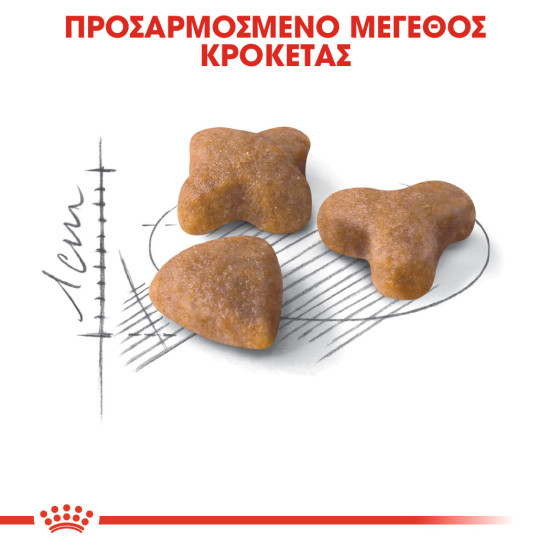 ROYAL CANIN SENSIBLE33 ROYAL CANIN SENSIBLE33