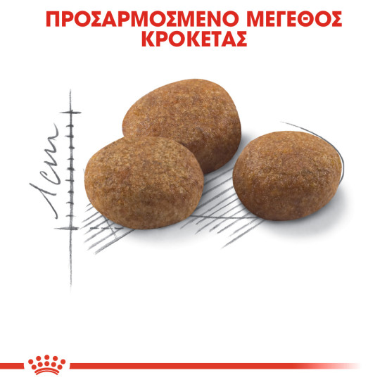 ROYAL CANIN STERILISED +7 ROYAL CANIN STERILISED +7