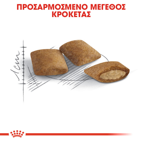 ROYAL CANIN AGEING +12