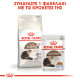 ROYAL CANIN AGEING +12