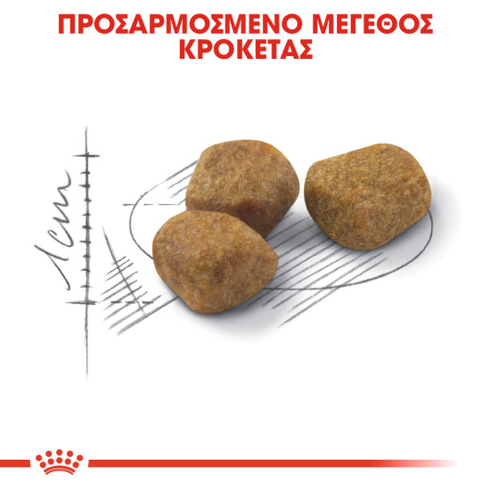 ROYAL CANIN INDOOR +7 ROYAL CANIN INDOOR +7