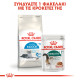 ROYAL CANIN INDOOR +7 ROYAL CANIN INDOOR +7
