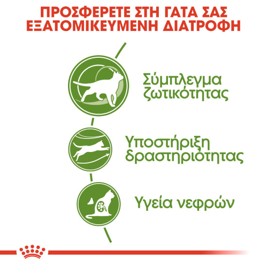 ROYAL CANIN OUTDOOR +7 ROYAL CANIN OUTDOOR +7