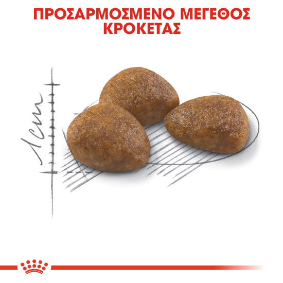 ROYAL CANIN OUTDOOR +7 ROYAL CANIN OUTDOOR +7