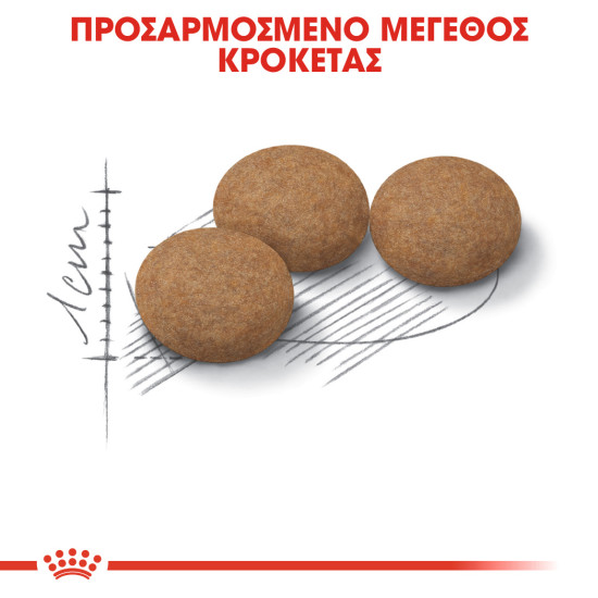 ROYAL CANIN STERILISED 12+ ROYAL CANIN STERILISED 12+