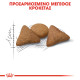 ROYAL CANIN INDOOR APPETITE CONTROL ROYAL CANIN INDOOR APPETITE CONTROL