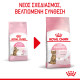 ROYAL CANIN KITTEN STERILISED ROYAL CANIN KITTEN STERILISED