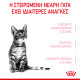 ROYAL CANIN KITTEN STERILISED ROYAL CANIN KITTEN STERILISED