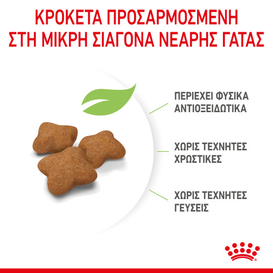 ROYAL CANIN KITTEN STERILISED ROYAL CANIN KITTEN STERILISED