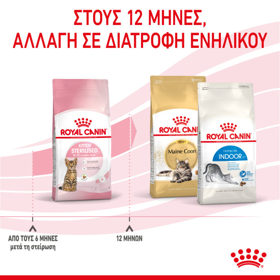 ROYAL CANIN KITTEN STERILISED ROYAL CANIN KITTEN STERILISED