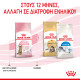 ROYAL CANIN KITTEN STERILISED ROYAL CANIN KITTEN STERILISED