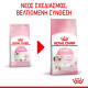 ROYAL CANIN KITTEN ROYAL CANIN KITTEN