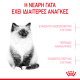 ROYAL CANIN KITTEN ROYAL CANIN KITTEN