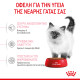 ROYAL CANIN KITTEN ROYAL CANIN KITTEN