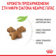 ROYAL CANIN KITTEN ROYAL CANIN KITTEN