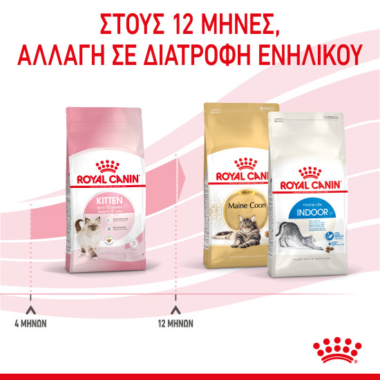 ROYAL CANIN KITTEN ROYAL CANIN KITTEN
