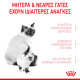 ROYAL CANIN MOTHER & BABYCAT ROYAL CANIN MOTHER & BABYCAT