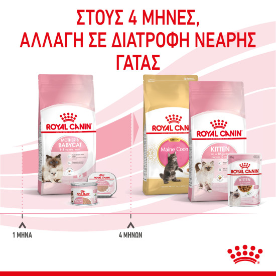 ROYAL CANIN MOTHER & BABYCAT ROYAL CANIN MOTHER & BABYCAT