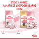 ROYAL CANIN MOTHER & BABYCAT ROYAL CANIN MOTHER & BABYCAT